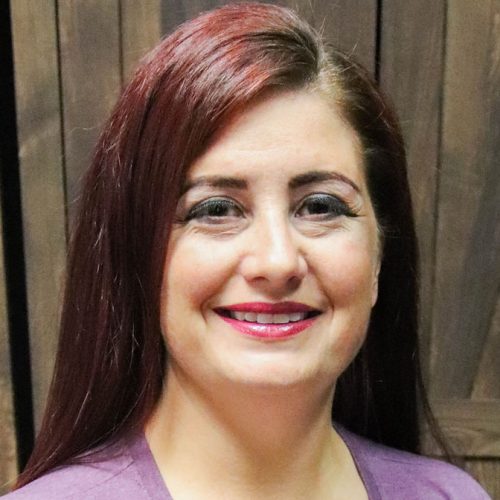 d07b8e_ba3b642c4ebc4385a4b6e956da7da092~mv2